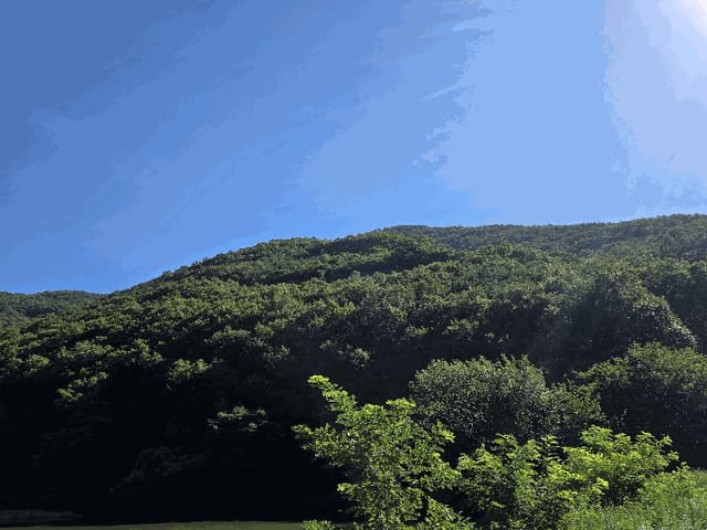B000310202501300086394.jpg