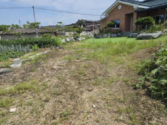 B000310202501300086474.jpg
