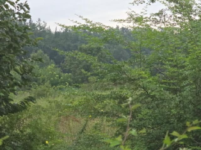 B000310202501300086621.jpg