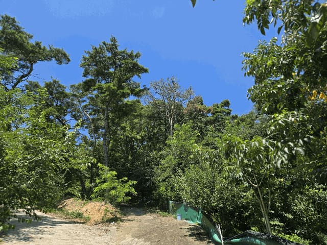 B000310202501300086693.jpg
