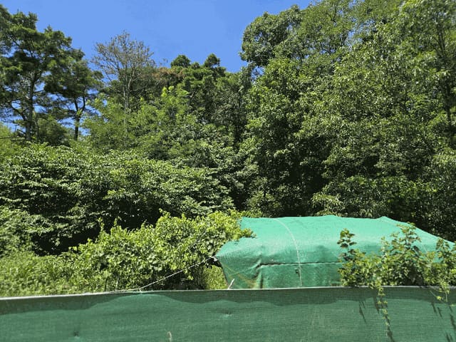 B000310202501300086694.jpg