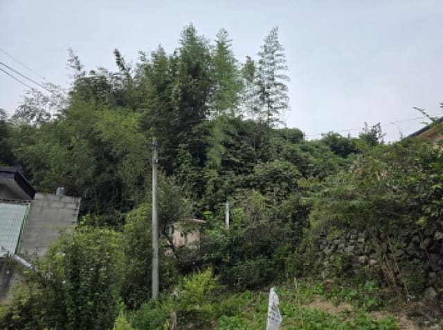 B0003102025013000872014.jpg