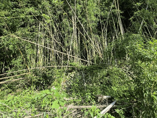 B0003102025013000872011.jpg