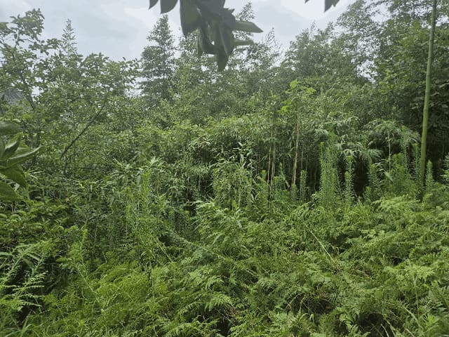 B0003102025013000872015.jpg