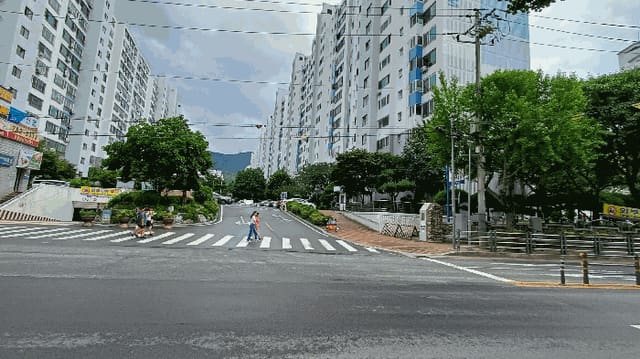 B000310202501300087593.jpg