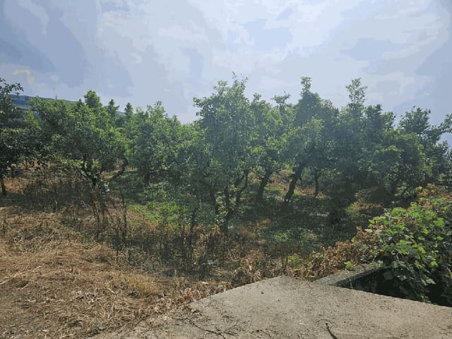 B0003102025013000877913.jpg