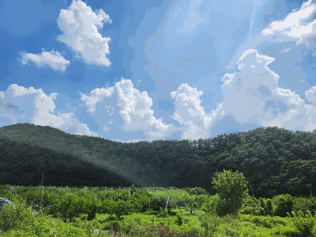 B000310202501300088004.jpg