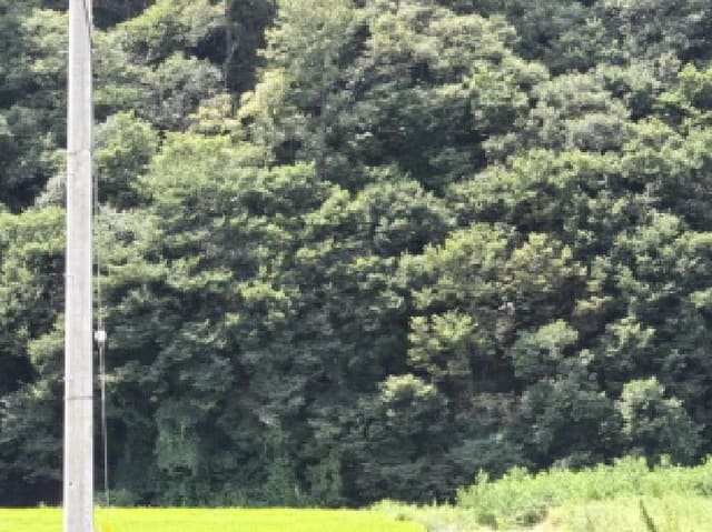 B000310202501300088003.jpg