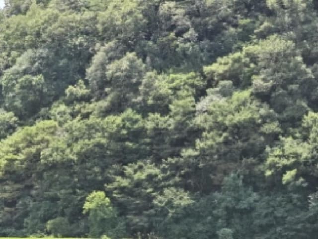 B000310202501300088002.jpg