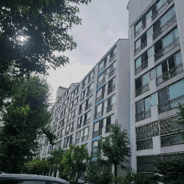 B000310202501300088243.jpg