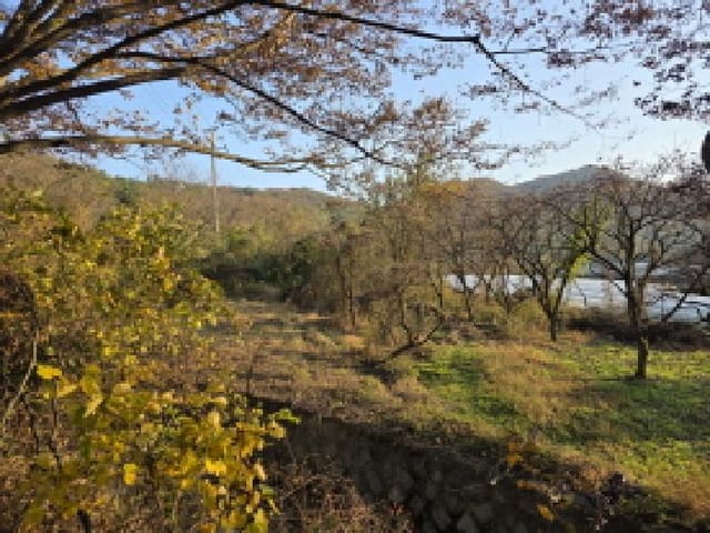 B000310202501300089261.jpg