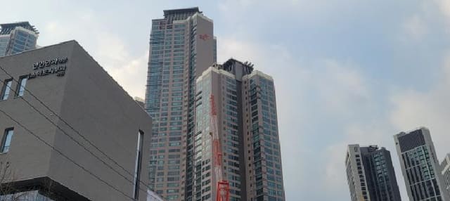 B000310202501300090152.jpg