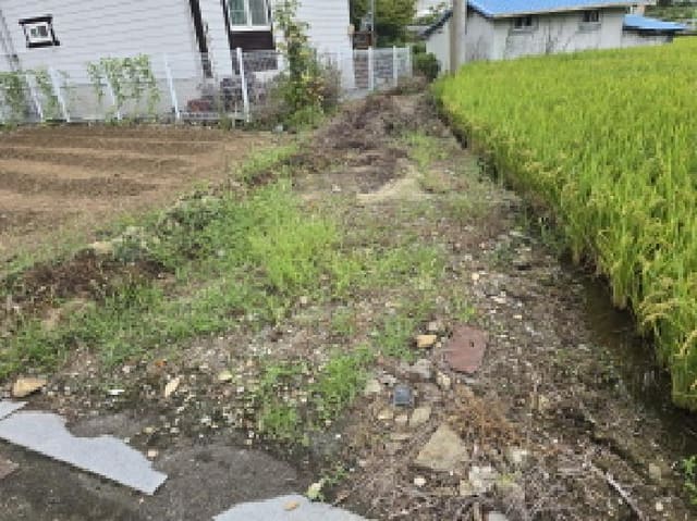 B000310202501300090301.jpg
