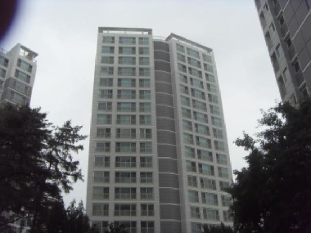 B000310202501300090452.jpg