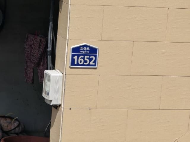 B000310202501300091322.jpg
