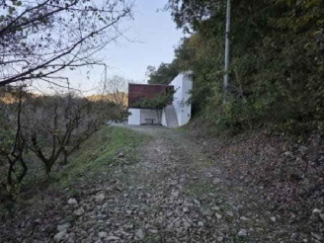 B000310202501300091631.jpg