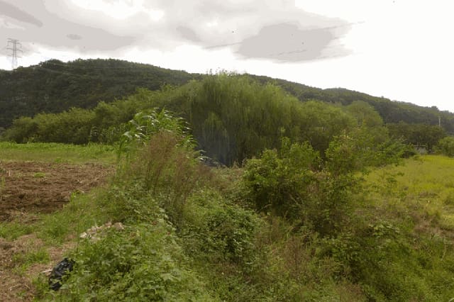 B000310202501300091644.jpg