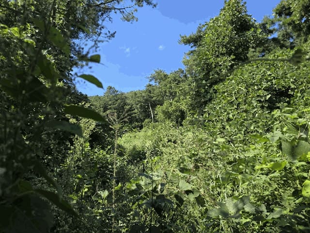 B000310202501300091737.jpg