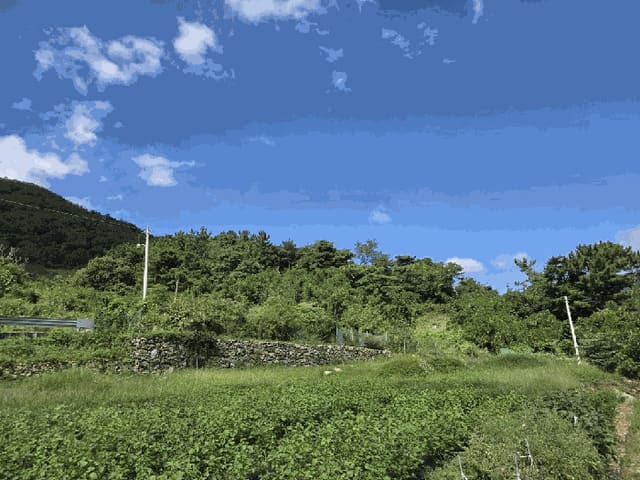 B000310202501300091736.jpg