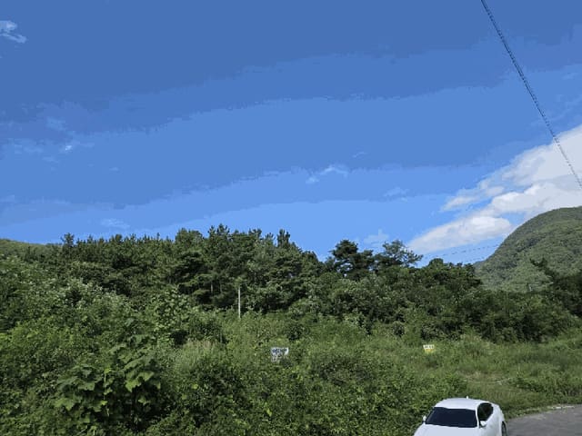 B000310202501300091738.jpg
