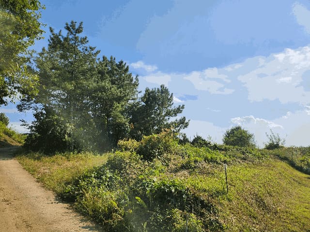 B000310202501300091804.jpg