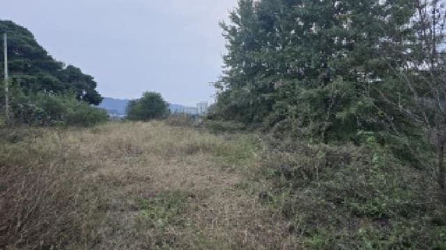 B000310202501300091802.jpg