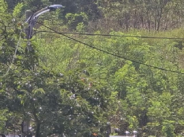 B0003102025013000920818.jpg