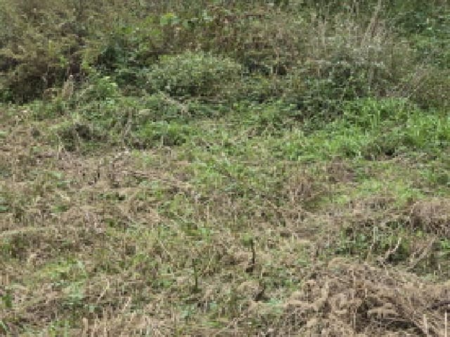 B0003102025013000920815.jpg