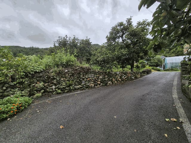 B0003102025013000921011.jpg