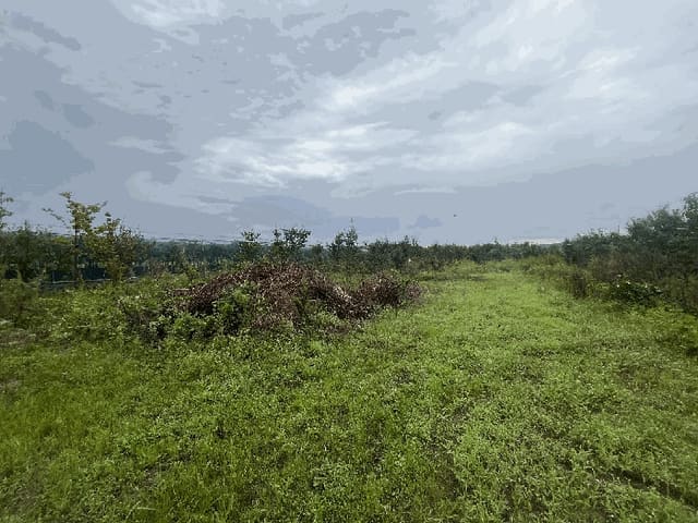 B000310202501300092183.jpg