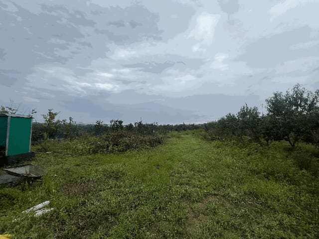 B000310202501300092182.jpg