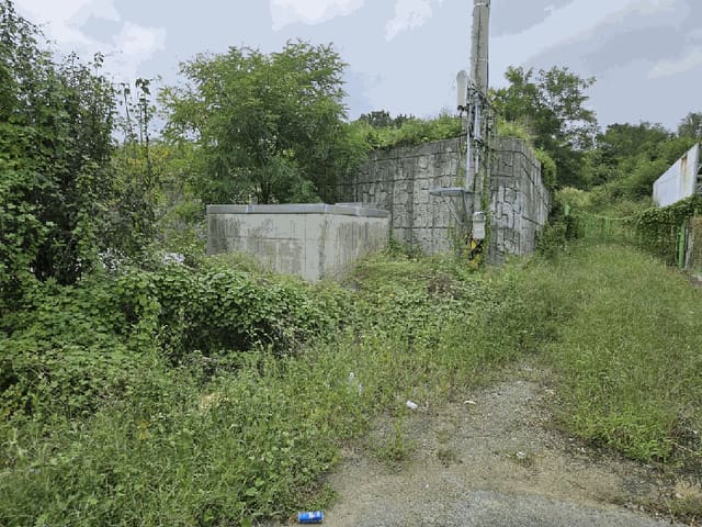 B000310202501300092432.jpg