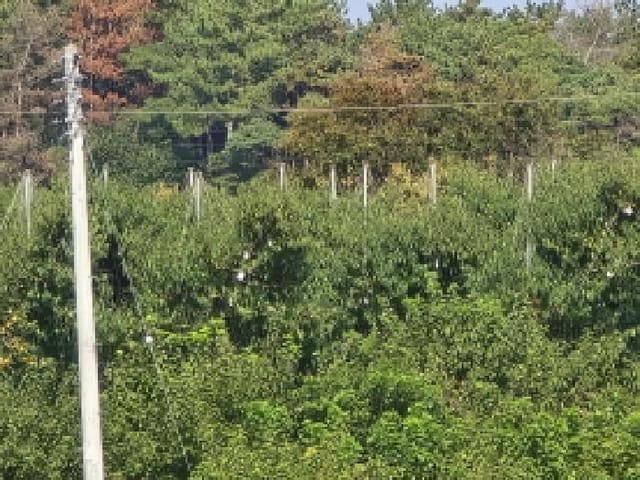 B000310202501300092872.jpg
