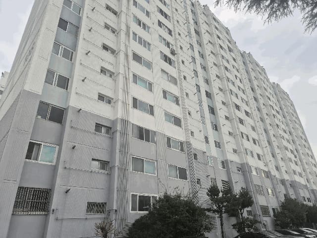 B000310202501300092934.jpg