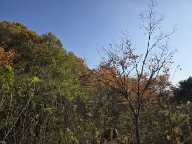 B000310202501300093331.jpg