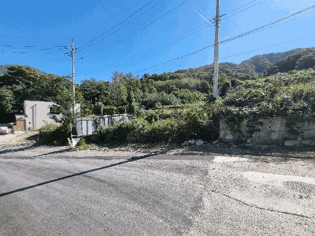 B000310202501300093467.jpg