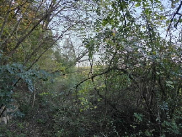 B000310202501300093981.jpg
