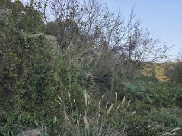 B000310202501300093982.jpg