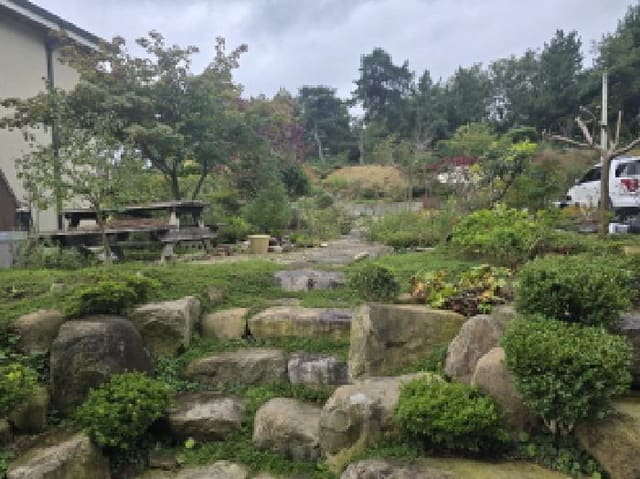 B000310202501300094091.jpg