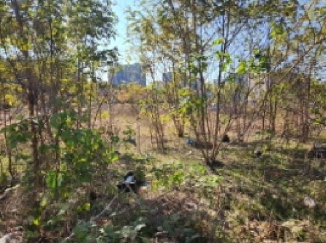 B000310202501300094151.jpg