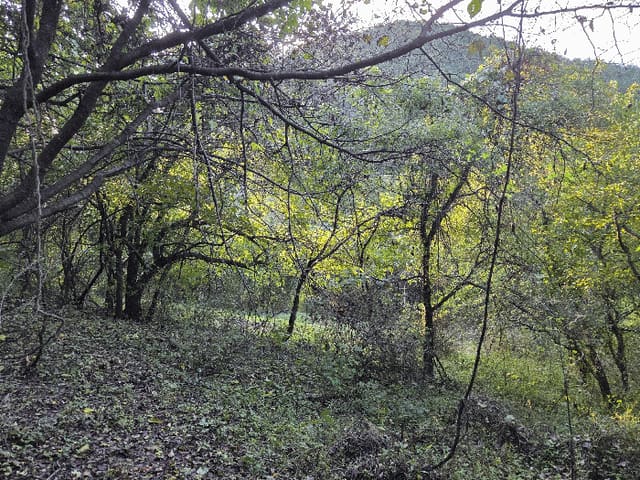 B000310202501300094654.jpg