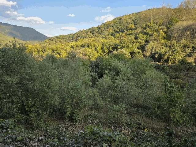 B000310202501300094652.jpg