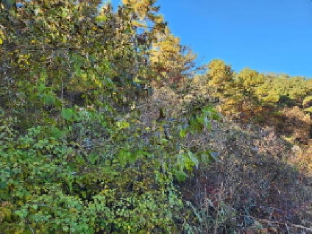 B000310202501300094651.jpg