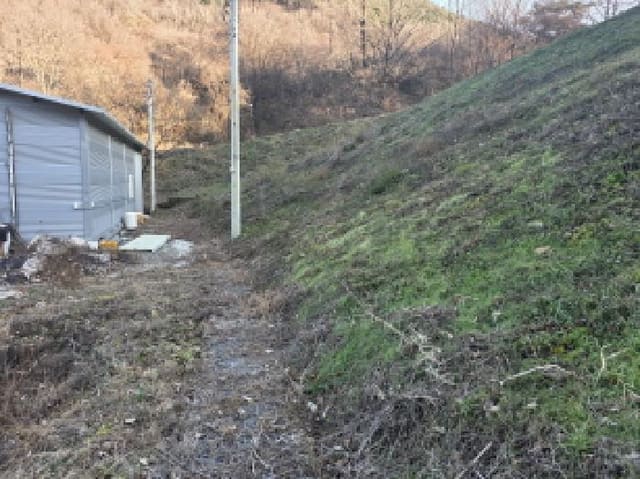 B000310202501300094782.jpg