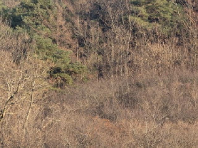 B000310202501300094784.jpg