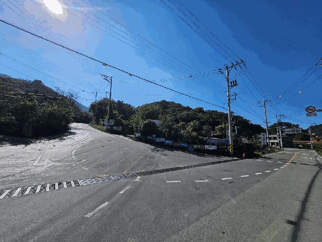 B000310202501300095153.jpg