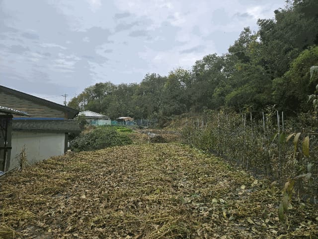 B000310202501300095364.jpg