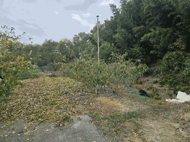 B000310202501300095363.jpg