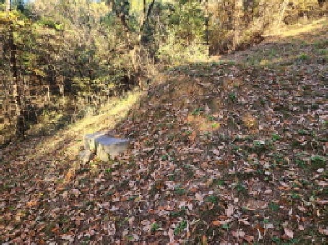 B000310202501300095373.jpg