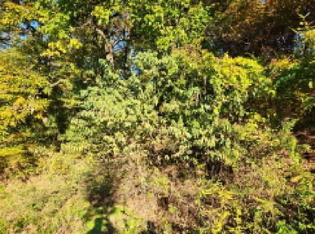 B000310202501300095371.jpg